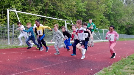 Waldlauf2019